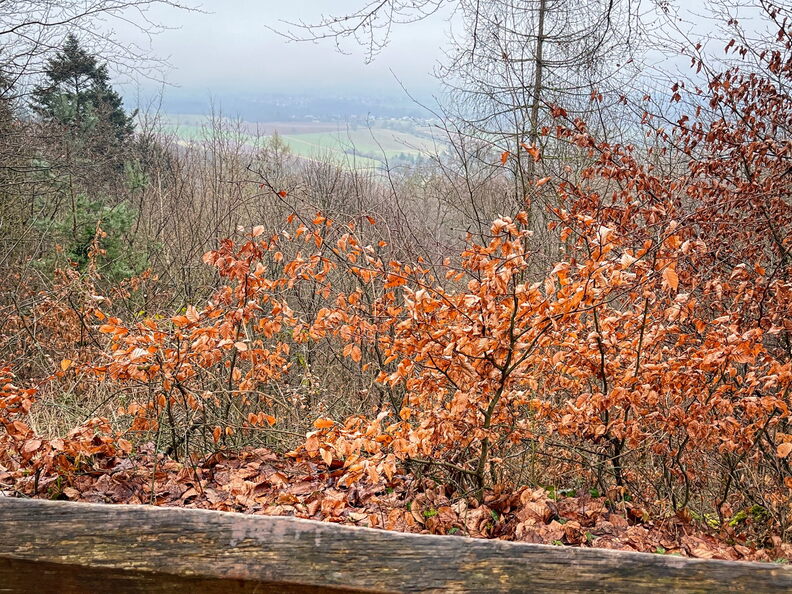 23-03-12 11-59-07 4780